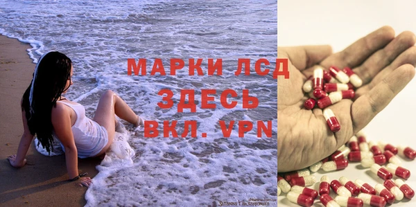 гидра Аркадак