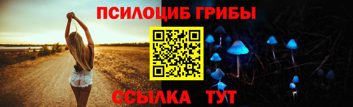 Псилоцибиновые грибы прущие грибы Одинцово